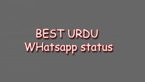 Best Urdu Whatsapp Status